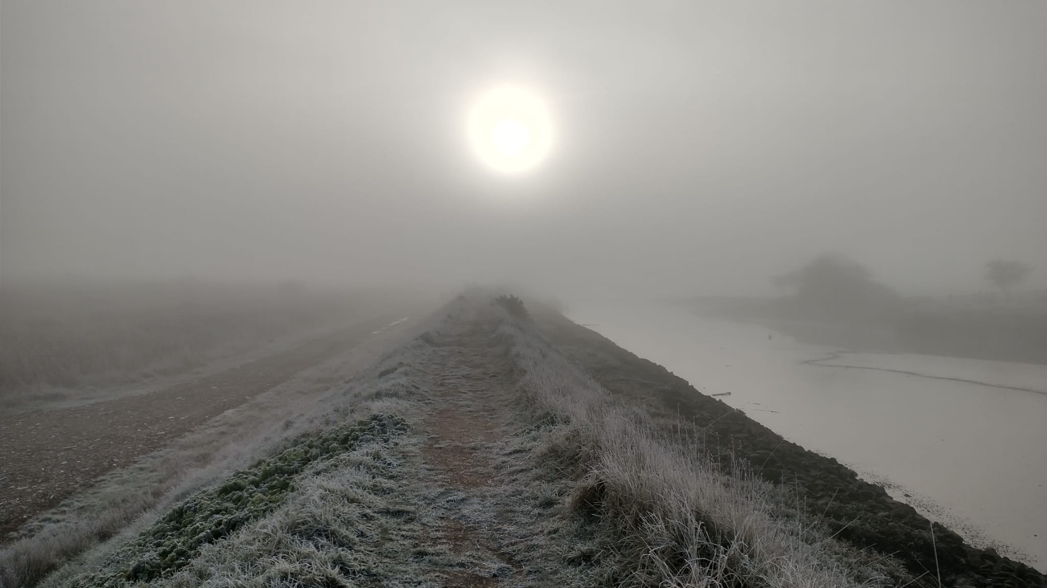 Frosty sunrise at Hen Reedbeds, Dan Doughty Suffolk Wildlife Trust